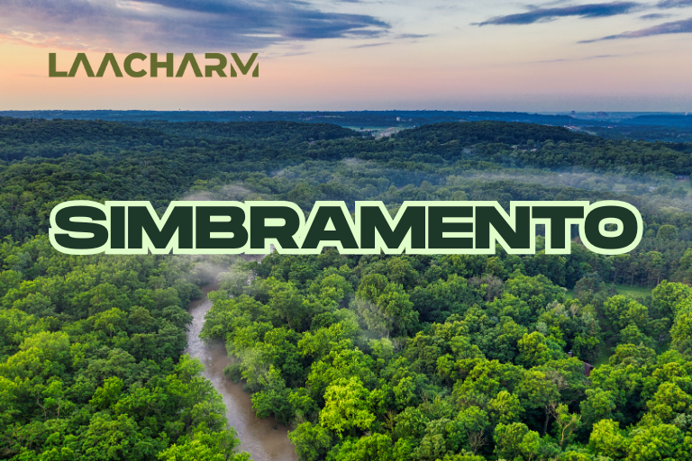Simbramento